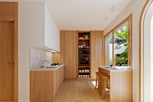 Modern kitchen