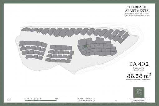 Plan complex